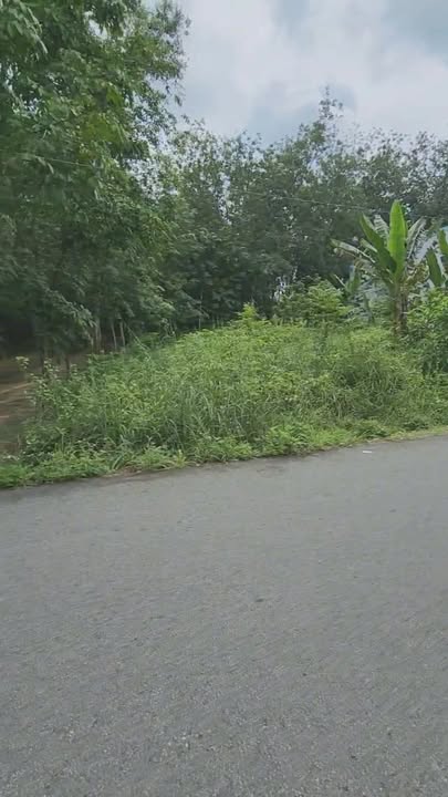 Đất thổ cư 60m² phường Chánh Phú Hòa, giá 1 tỷ - Đầu tư sinh lời ngay!