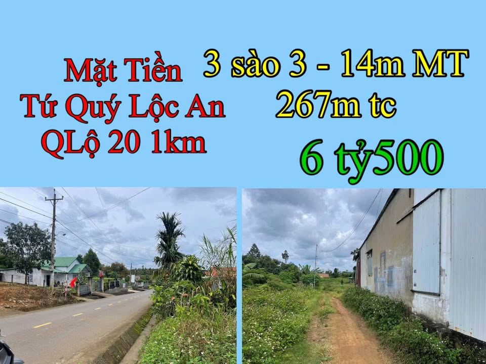 Đất Farm Lộc An, Long Thành 3271m² giá 6.5 tỷ - Sổ đỏ chính chủ, mặt tiền 14m