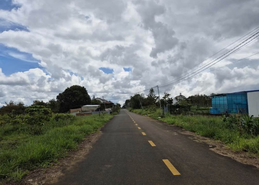 Đất biệt thự mặt tiền Nguyễn Trãi, Bảo Lộc 780m² - Vị trí đắc địa, giá tốt!