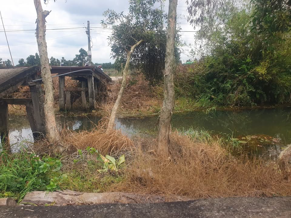 Đất nền Tân Phước, Tân Hồng 90,000m² giá 1.299 tỷ - Cơ hội đầu tư hấp dẫn!