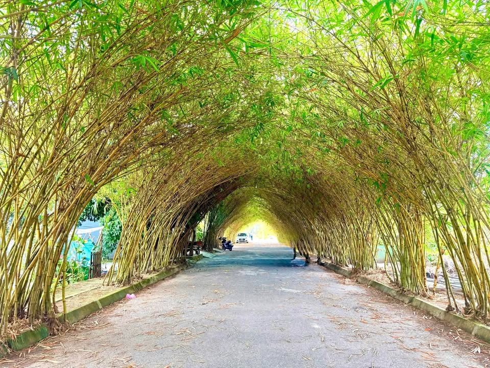 Đất mặt tiền Vân Trường, Tiền Hải 124m² chỉ 1 tỷ - Cơ hội đầu tư tuyệt vời!