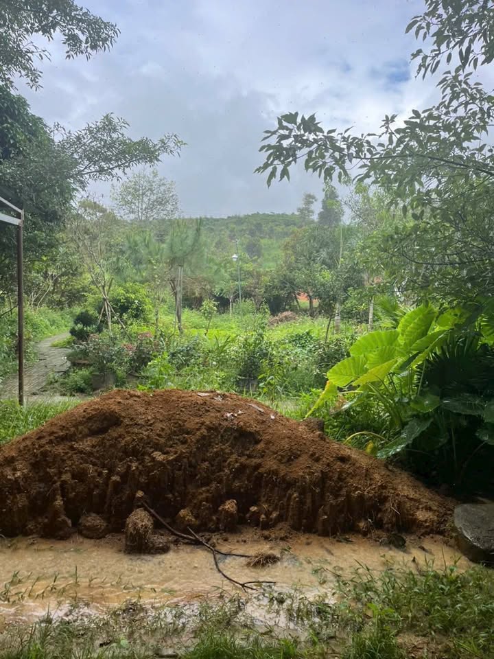 Đất nền và kho mặt tiền Quốc lộ 55 Lộc Thành 1720m² giá 21.5 tỷ - Cơ hội đầu tư hấp dẫn!