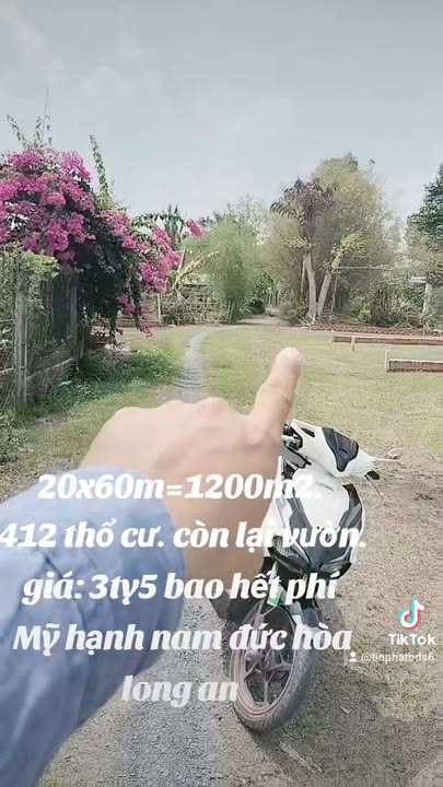 Đất nền 1200m² tại ấp Giồng Lớn, Đức Hòa, Long An - Giá chỉ 3.5 tỷ!