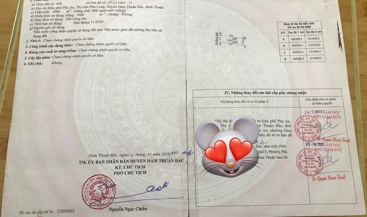 Đất nền 1.000m² tại Phú Long, giá 599 triệu - Đầu tư lý tưởng!