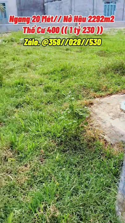 Đất vườn đẹp 2292m², giá 1.23 tỷ - Thích hợp nghỉ dưỡng tại Tây Ninh!