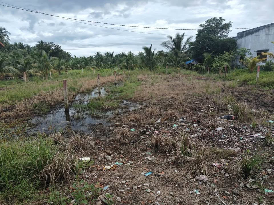 Đất nền Hòa Định, Chợ Gạo, 165m² giá 270 triệu - Cơ hội đầu tư hấp dẫn!