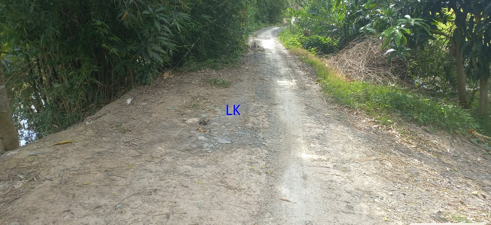 Đất nông nghiệp 32.000m² tại xã Tân Hội Trung, Đồng Tháp giá 5.44 tỷ - Đầu tư sinh lời!