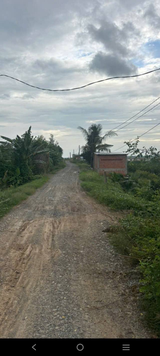 Đất vườn Hưng Thạnh Tháp Mười 11000m² giá chỉ 350 triệu - Mặt tiền 10m, gần chợ!