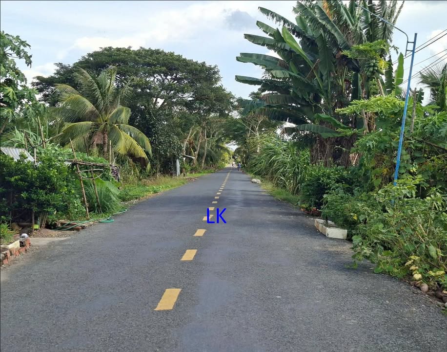 Đất nền 210m² tại Tân Hội Trung, Đồng Tháp giá chỉ 480 triệu - Đầu tư sinh lời ngay!