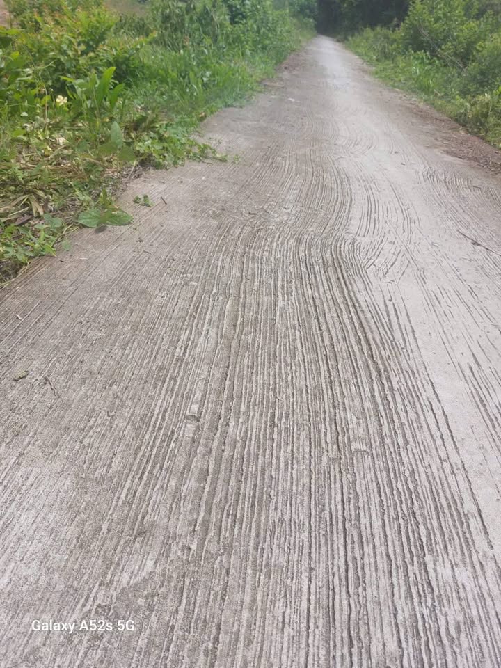 Đất nền Tân Long Hội, Mang Thít, Vĩnh Long 115m² giá chỉ 220 triệu - Đầu tư sinh lời ngay!