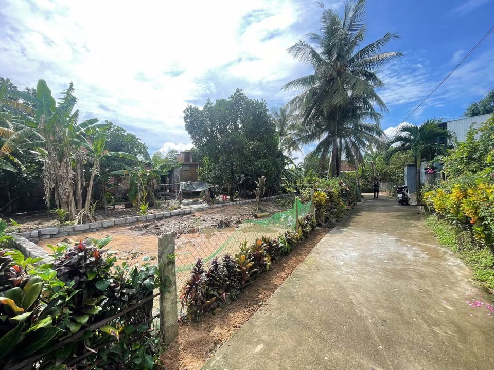 Đất thổ cư Hòa Thịnh 147m² giá chỉ 200 triệu - Đường ô tô vào tận nơi!