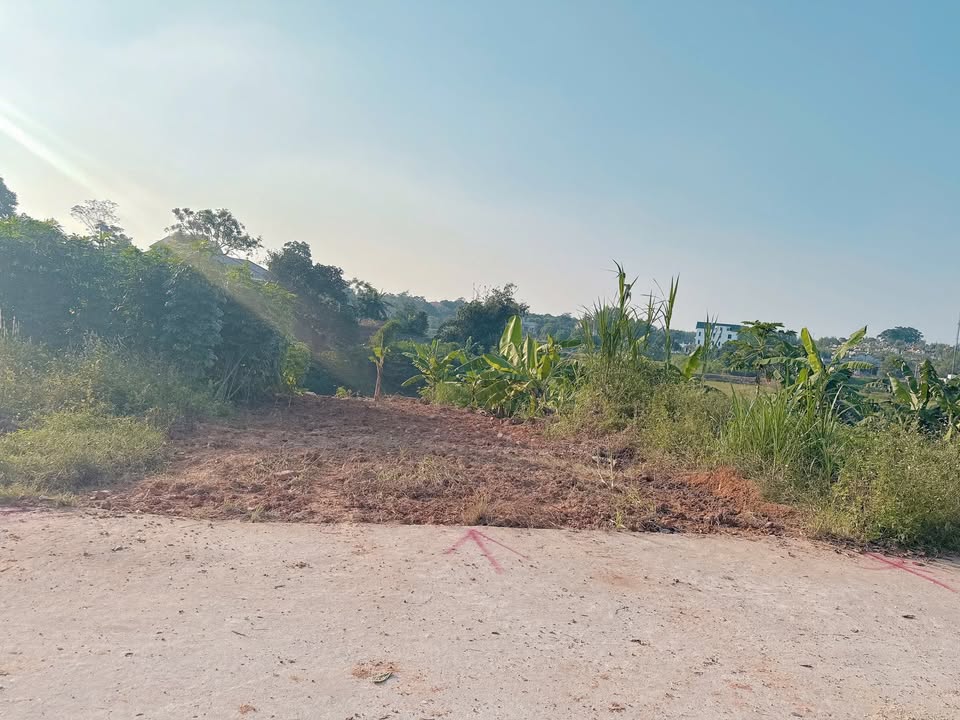 Đất nền chính chủ phường Thanh Đình, Việt Trì 102m² giá 1.18 tỷ - Vị trí đắc địa gần đường lớn!