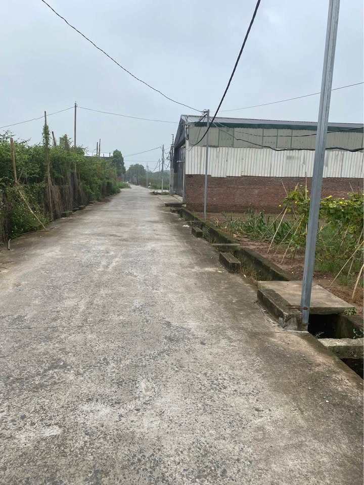 Đất trồng cây hàng năm 300m² tại Song Phương - Giá chỉ 900 triệu VND