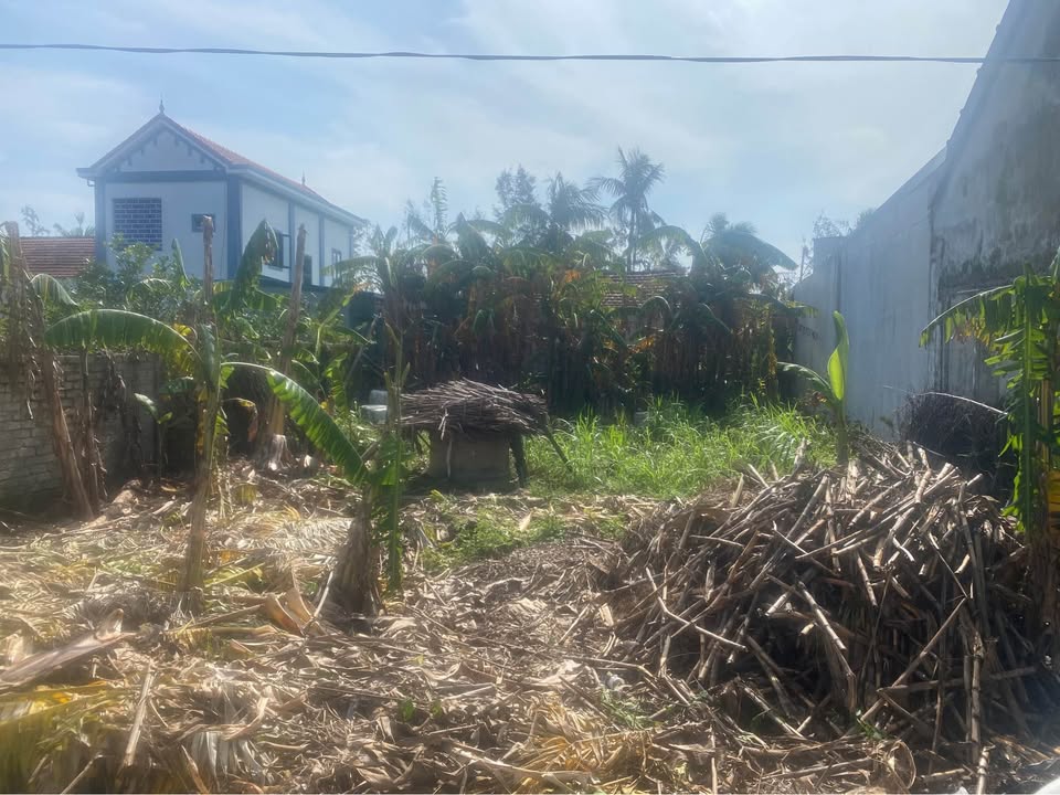 Đất nền Diễn Hùng 210m² giá 1 tỷ - Cơ hội đầu tư hấp dẫn!