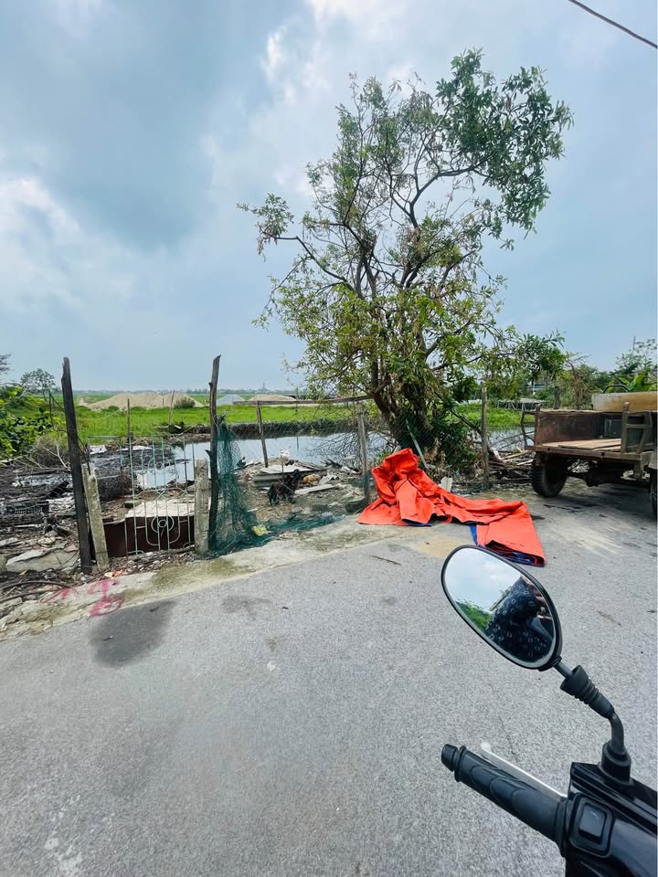 Đất nền Thạch Trung, Hà Tĩnh 161m² giá 1.9 tỷ - Đầu tư sinh lời hấp dẫn!