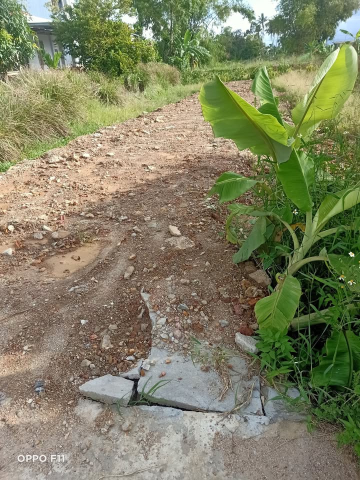 Đất nền Ngũ Hành Sơn 96m² giá 1.95 tỷ - Cơ hội đầu tư sinh lời cao!