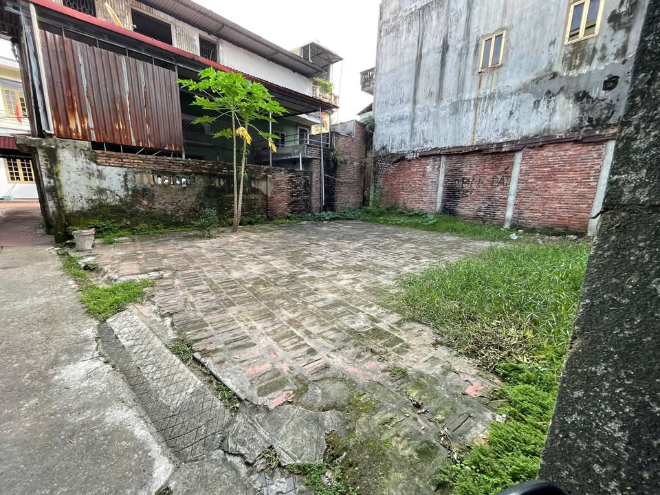 Đất nền Đồng Kỵ – Từ Sơn 46m² giá 1 tỷ - Cơ hội đầu tư tuyệt vời!