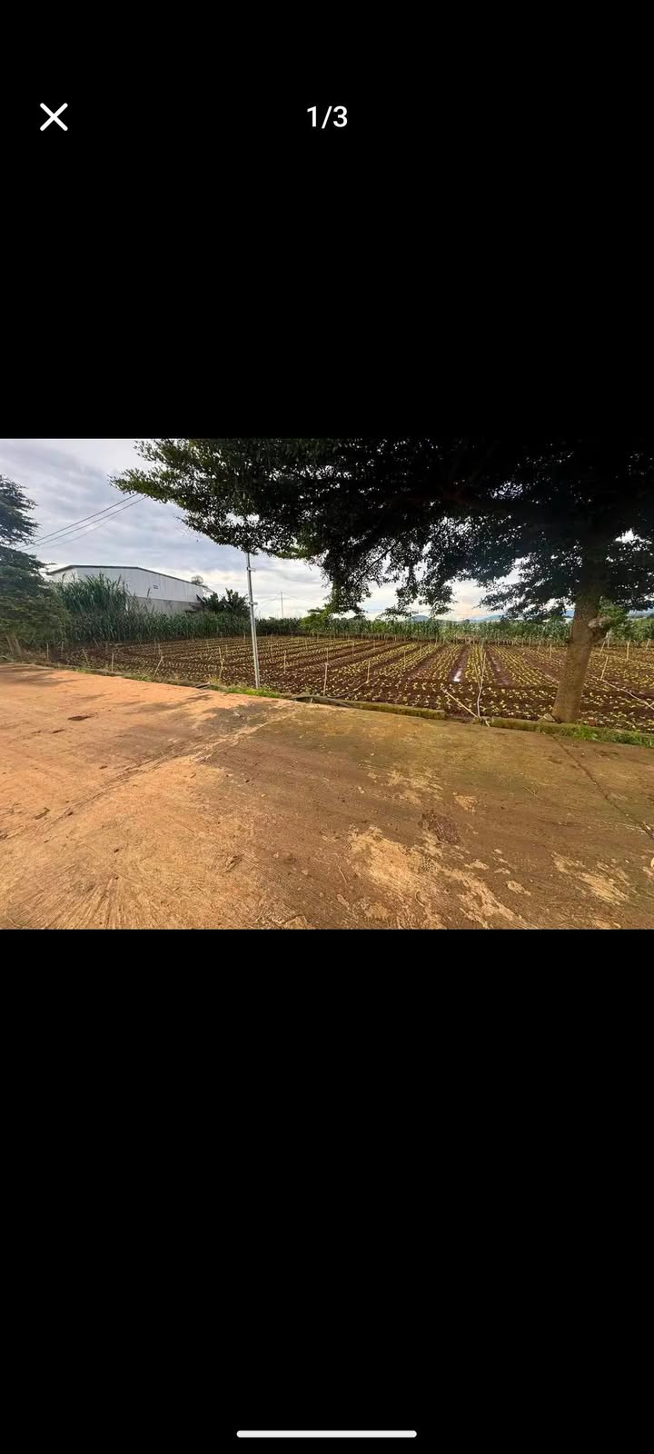 Đất nền chính chủ tại đường Hồ Xuân Hương, Liên Nghĩa, 145m² - Giá chỉ 1,1 tỷ!