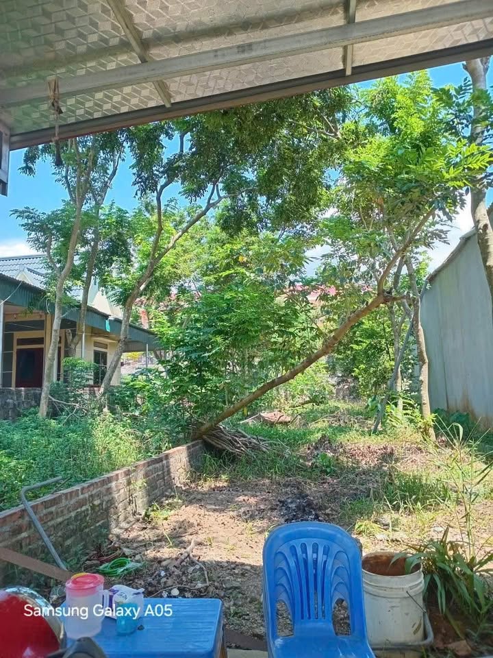 Đất nền Tân An, Văn Bàn 100m² giá 990 triệu - Đầu tư sinh lời ngay!