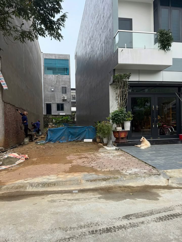 Lô đất đẹp tại đường A3, Lào Cai 100m² giá chỉ 1.35 tỷ - Cơ hội đầu tư tuyệt vời!