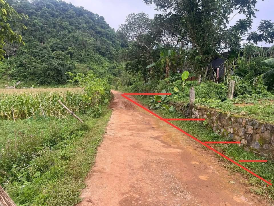 Đất thổ cư Yên Thủy Hòa Bình 116m² giá 100 triệu - Cơ hội đầu tư tuyệt vời!