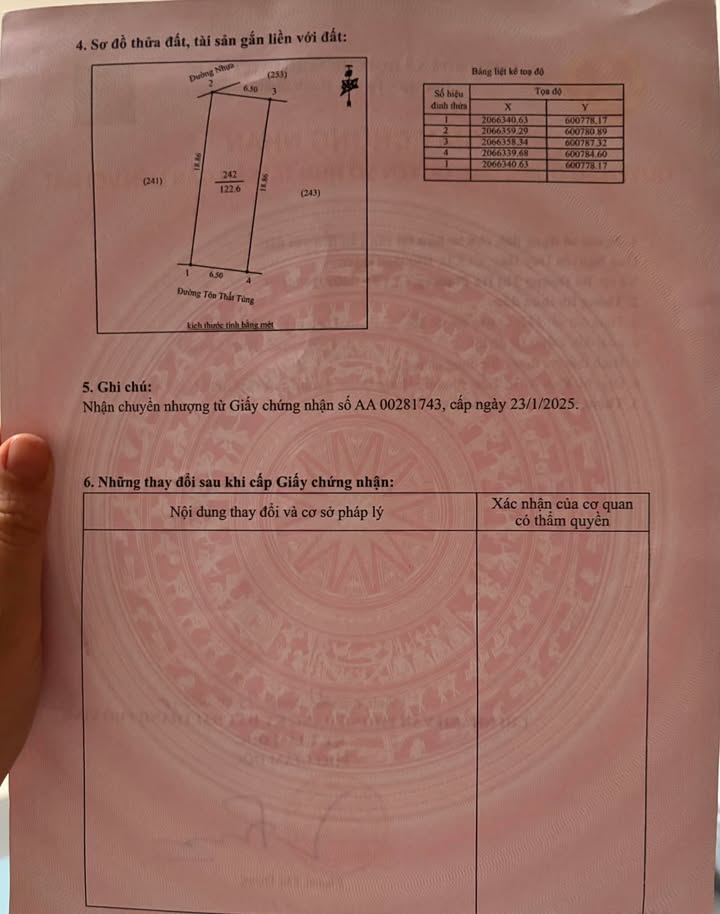 Đất đấu giá Đồng Dâu Vinh 123m² giá 7 tỷ - Xây dựng tự do ngay!