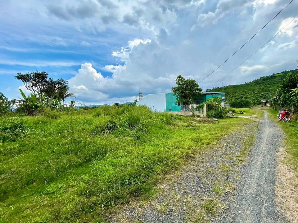 Đất nền Lộc Châu 516m² giá 950 triệu - Hẻm ô tô thuận tiện, đầu tư sinh lời!