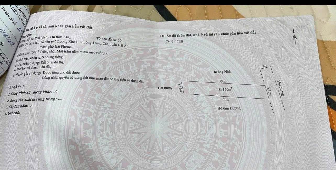 Đất mặt đường Cát Linh Hải Phòng 150m² giá 7.2 tỷ - Cơ hội kinh doanh đắc địa!