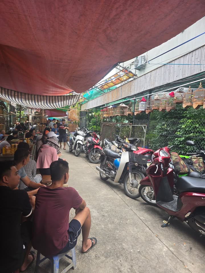 Đất mặt đường Chợ Hàng Lê Chân 185m² giá 14 tỷ - Đoạn đẹp nhất, cho thuê 12 triệu/tháng!