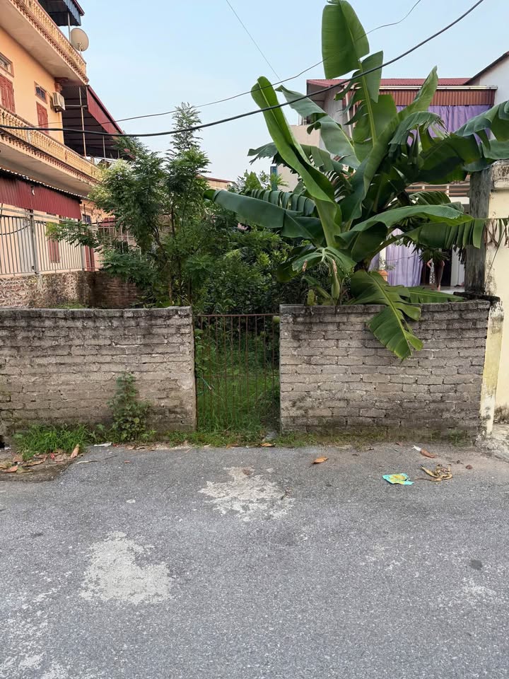 Đất thổ cư Lương Tài Bắc Ninh 54m² giá thỏa thuận - Vị trí đắc địa gần trung tâm