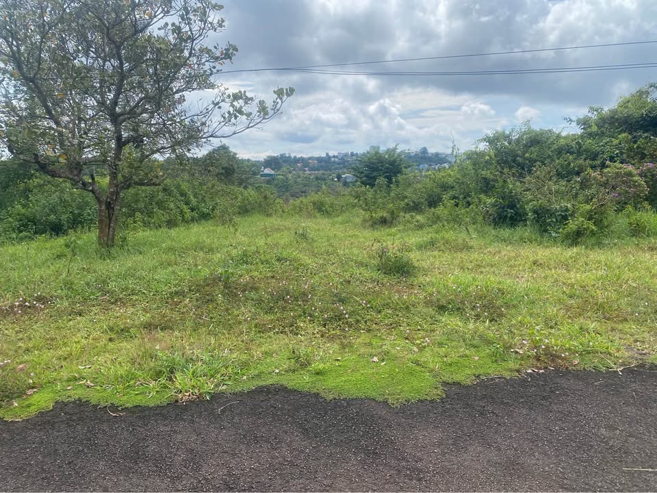 Đất mặt tiền TDP8 Kiến Đức 300m² giá 720 triệu - Đầu tư sinh lời ngay!