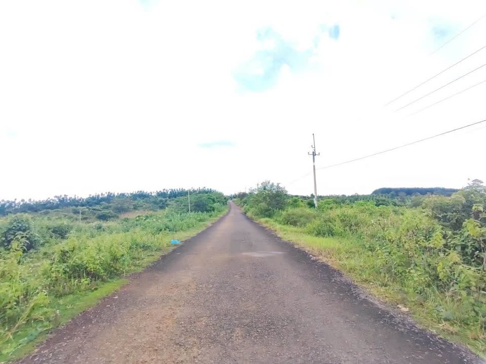 Đất sào mặt tiền đường nhựa tại Nam Gia Nghĩa 2300m² giá 2.1 tỷ - Sổ hồng chính chủ!