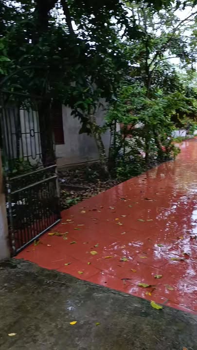 Đất nền Phủ Lý 1493m² giá thỏa thuận - Sổ đỏ chính chủ, đầy đủ tiện ích!