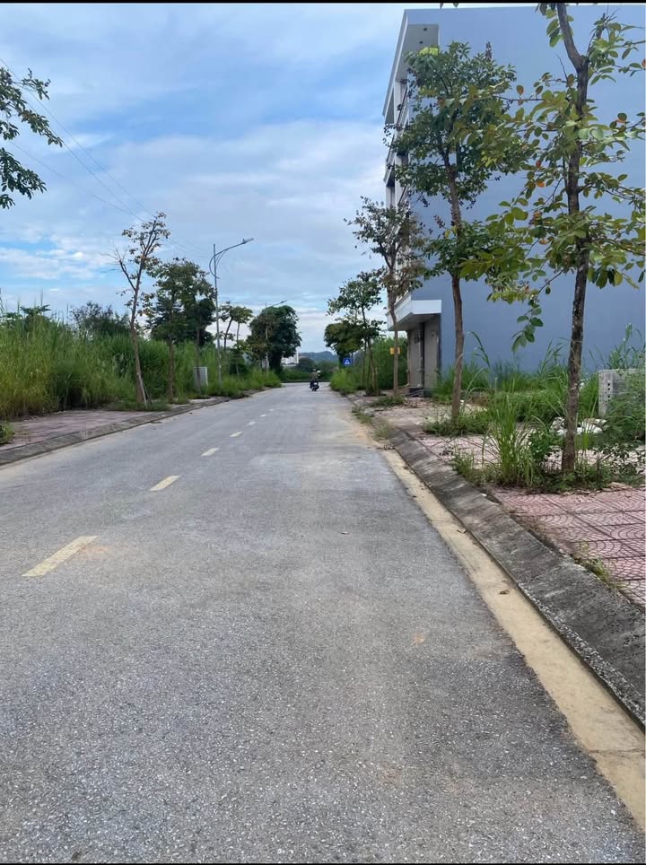 Đất nền TĐC Mai Pha Lạng Sơn 77,5m² giá 2 tỷ - Hạ tầng hoàn thiện!