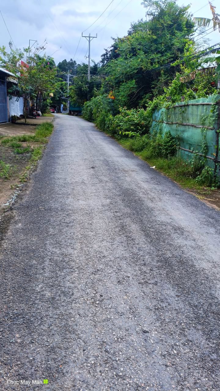 Đất mặt tiền 736m² gần ngã 3 Chợ Giồng Chi, Bến Tre - Giá chỉ 850 triệu!