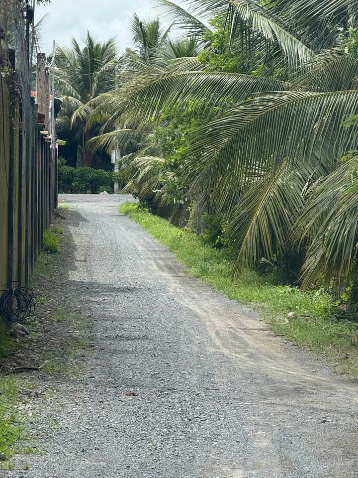 Đất nền 645m² tại Tân Mỹ Chánh, Mỹ Tho - Giá chỉ 1.4 tỷ, thuận tiện ngay KCN!