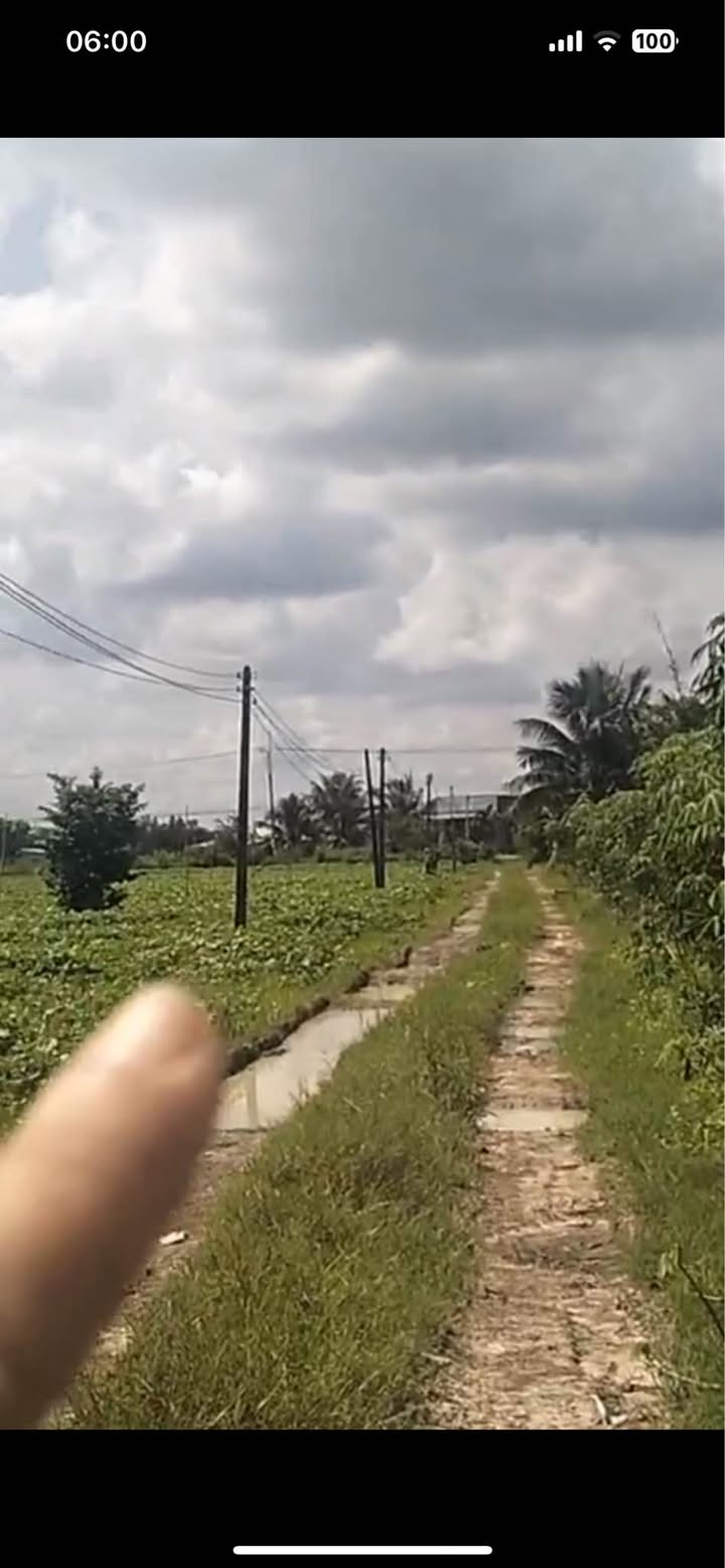 Đất nền Tân Hội, Tân Châu 100m² giá 1.2 tỷ - Cơ hội đầu tư lý tưởng!