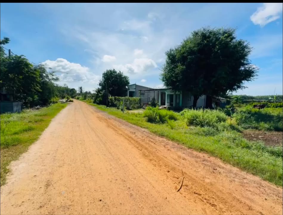 Đất nền 140m² tại Ninh Điền, Châu Thành - Giá đầu tư hấp dẫn chỉ từ 1xx triệu!