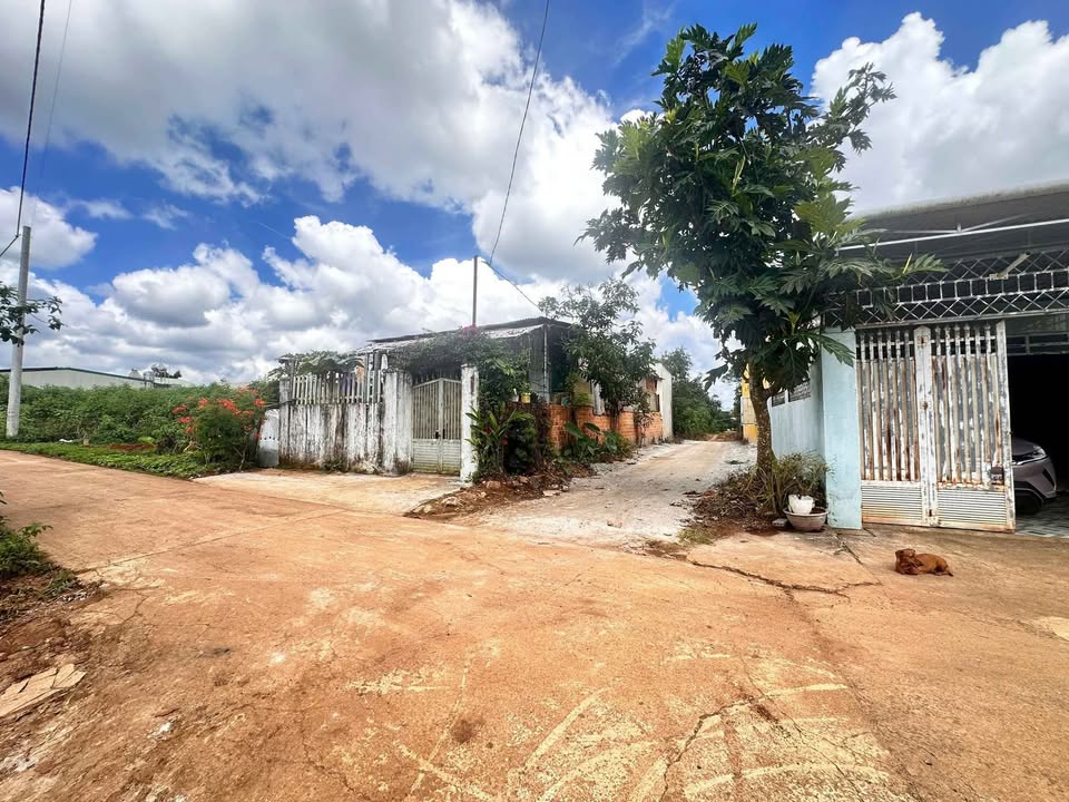 Đất nền phường Hội Phú, Pleiku 114m² giá 600 triệu - Khu dân cư sầm uất!