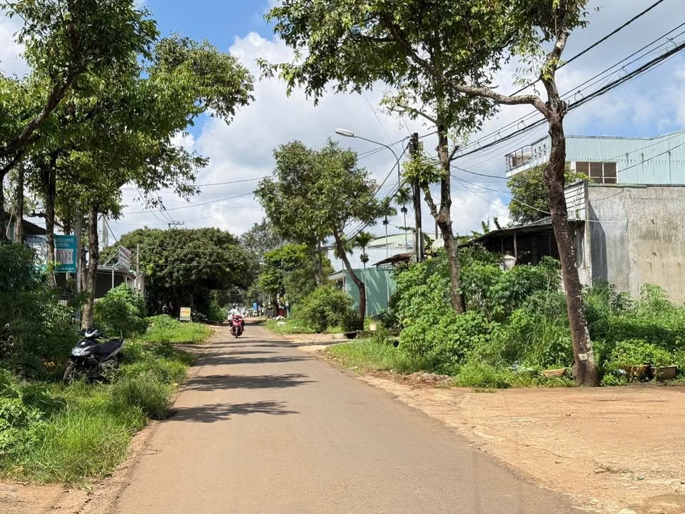 Đất mặt tiền Chu Mạnh Trinh, phường Hội Phú, 140m² giá 2.2 tỷ - Cơ hội đầu tư hấp dẫn!