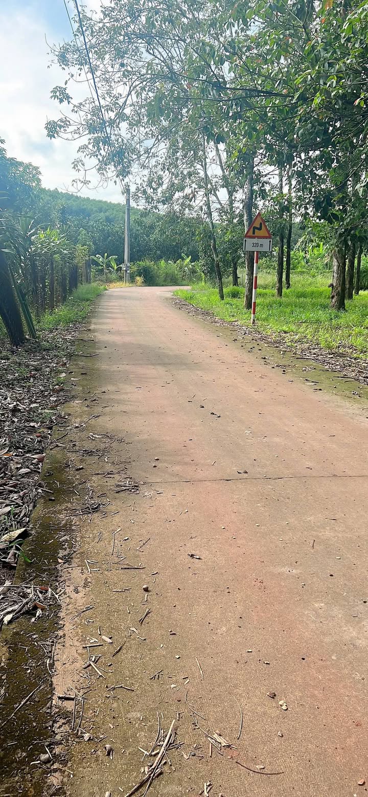 Đất Vĩnh Tân 1000m² giá 800 triệu - Bán gấp, cơ hội đầu tư!