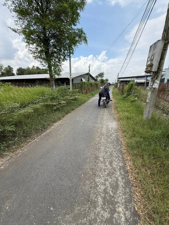 Đất thổ cư mặt tiền đường Nguyễn Văn Nhiếp, Cần Đước, 125m² - Giá chỉ 1.15 tỷ VND!