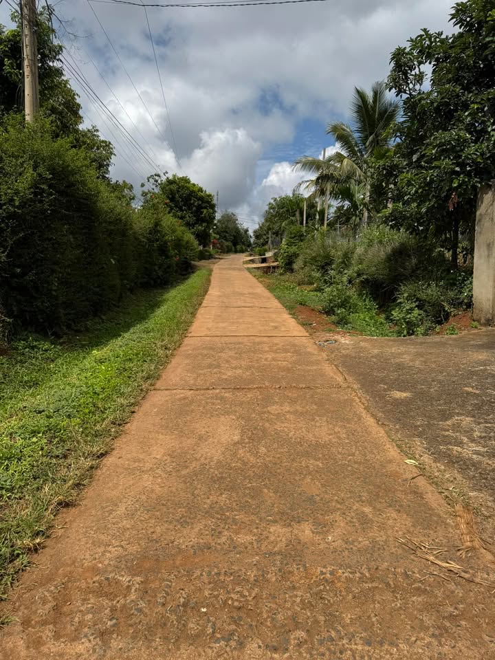 Đất nền mặt tiền đường Nguyên Hồng, Buôn Hồ, 30m² chỉ 280 triệu - Cơ hội đầu tư hấp dẫn!