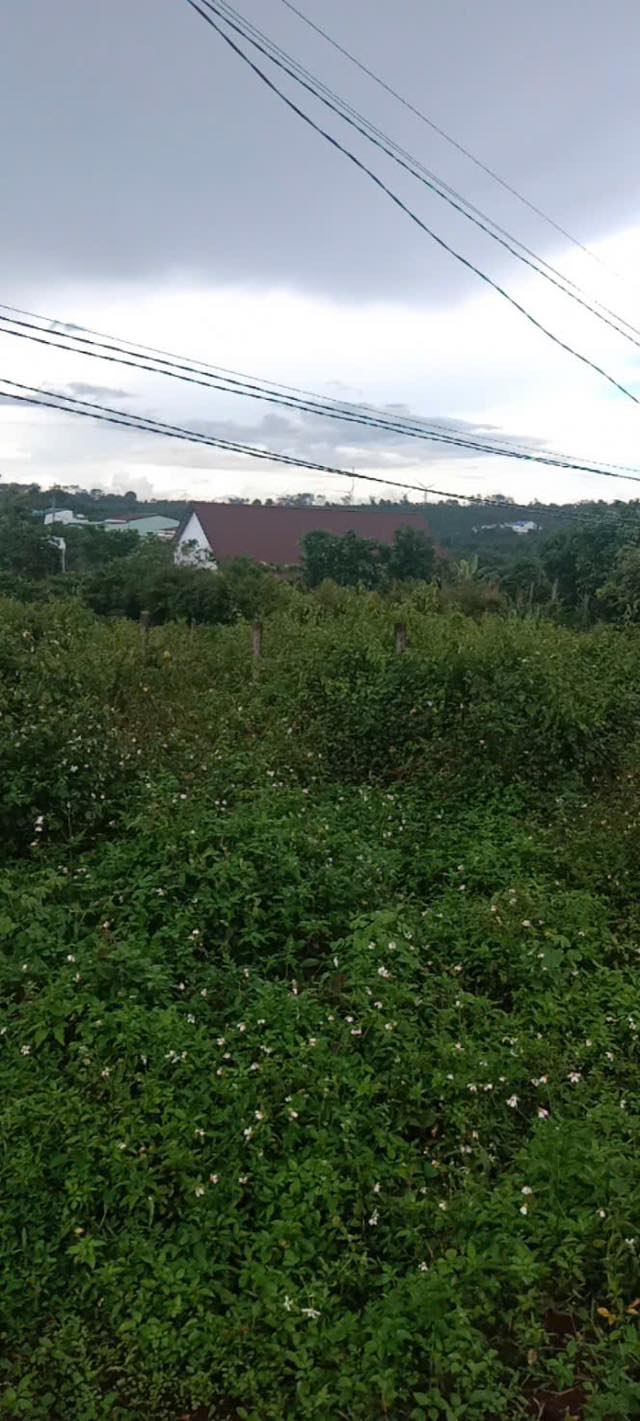 Đất nền Buôn Hồ 1200m² giá 1 tỷ - Mặt tiền đường trục chính