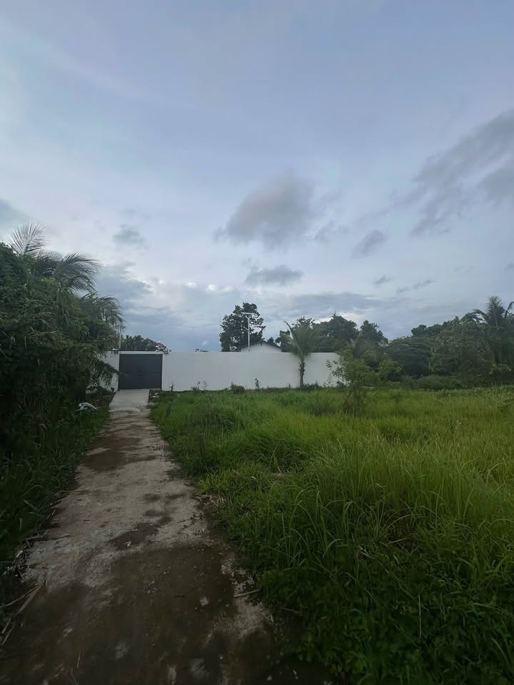 Đất nền Gạch Bà Chính, P. Long Hòa, Bình Thủy, 50m² giá 600 triệu - Đầu tư lý tưởng!