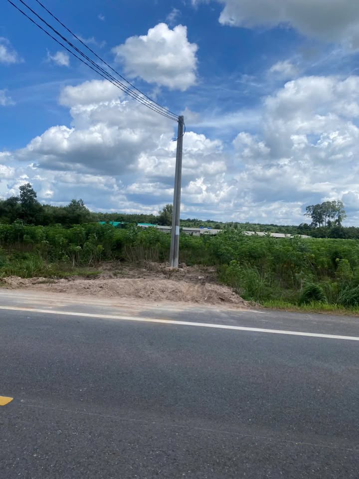 Đất Mặt Tiền Đường Mòn Hồ Chí Minh 7500m² giá 15 tỷ - Tiềm năng đầu tư lớn!