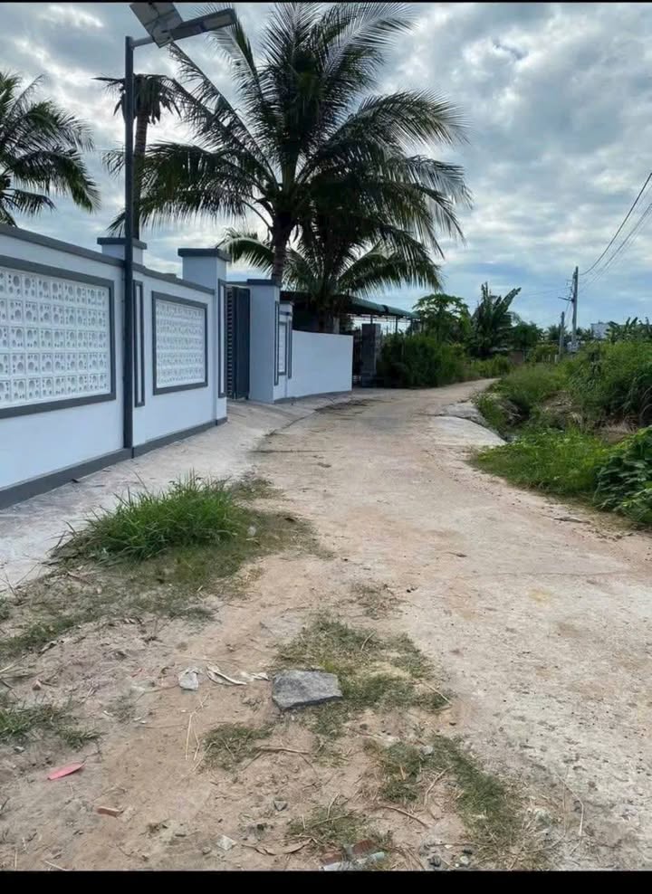 Đất cây trồng 1500m² tại Hàm Chính, Bình Thuận - Giá chỉ 630 triệu