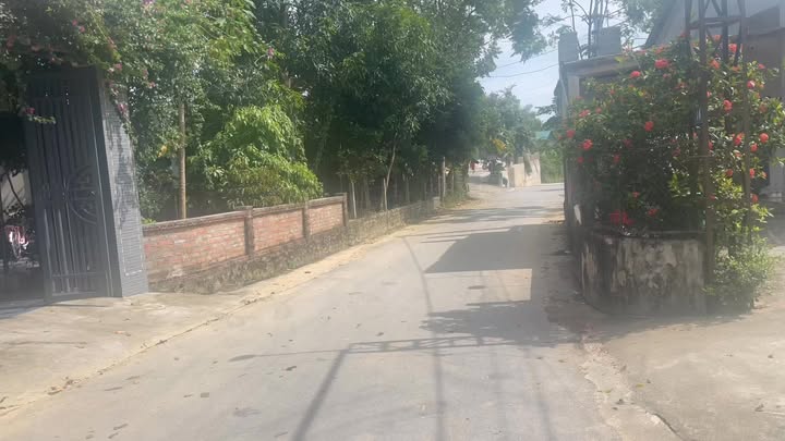 Đất nền chính chủ tại thị trấn Tây Sơn, 200m² giá 800 triệu - Cơ hội đầu tư hấp dẫn!