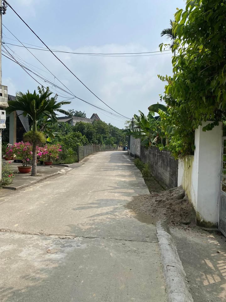 Đất thổ cư 494m² tại TDP7 Trung Môn - Giá chỉ 1.9 tỷ, xây nhà vườn lý tưởng!