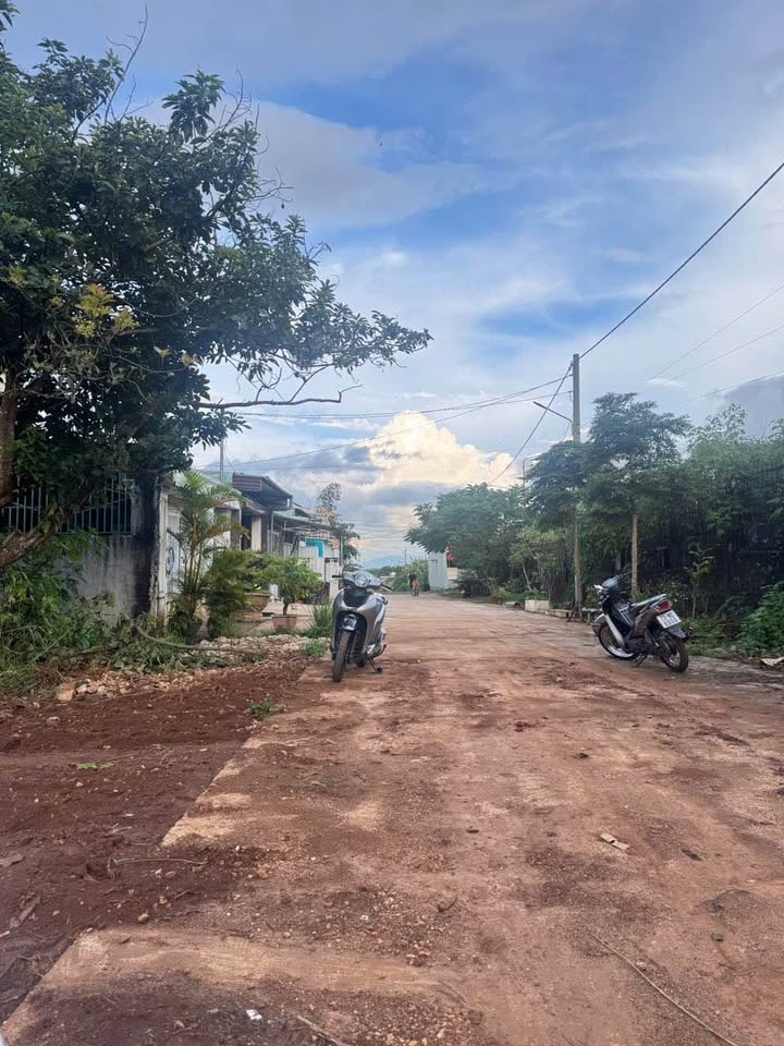Đất nền Bùi Dự, P. Hoa Lư, Pleiku 300m² giá 2.1 tỷ - Cơ hội đầu tư tuyệt vời!